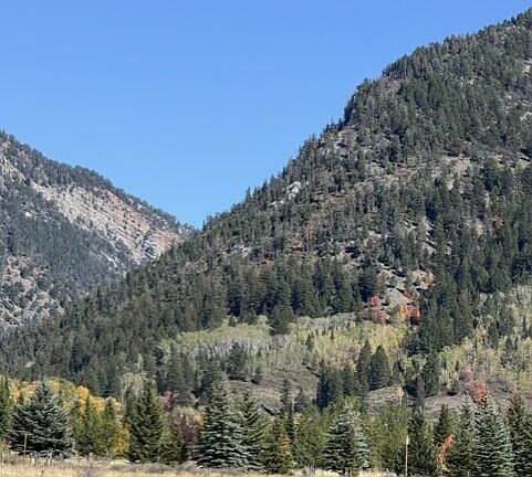 3rd image of 90 Strawberry Creek Private Rd