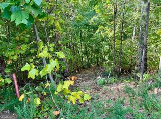 232 Hopewell Dr, Ranger, GA 30734