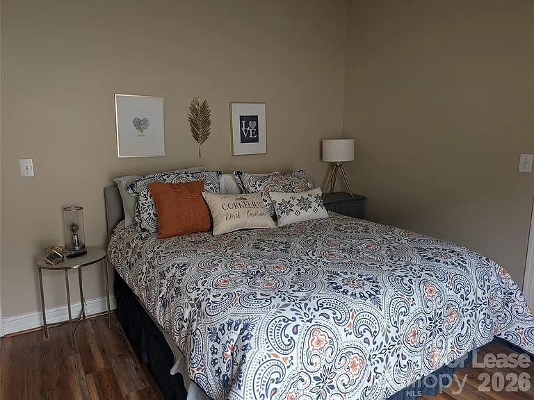 20207 Colony Point Ln — Photo 20