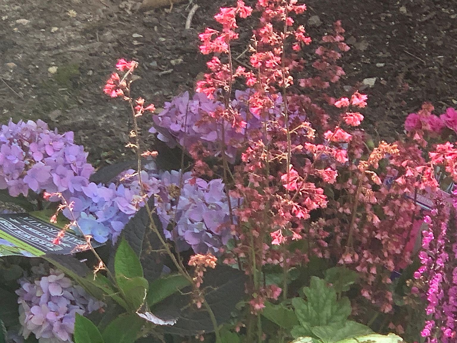 11810 N Schwemer Ln, Mequon, WI 53092 Zillow