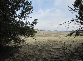 3506 Fitzsimmons Rd, Hartsel, CO 80449