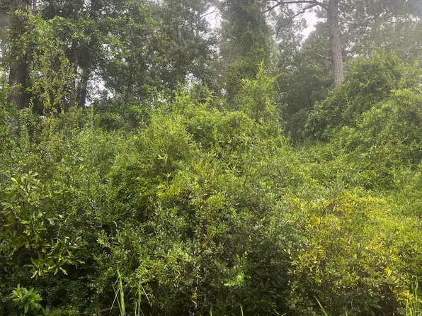 51 Bluebird Road, Boiling Spring Lakes, NC 28461