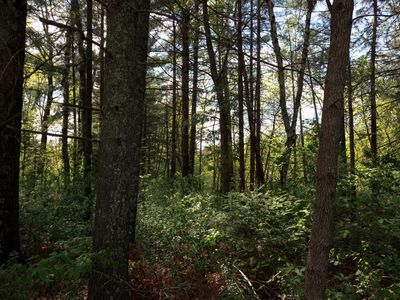 215 York St, Pine River, MN, 56474