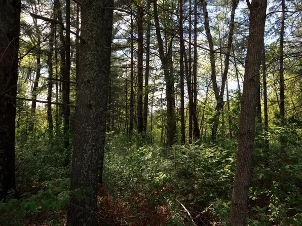 215 York St, Pine River, MN 56474