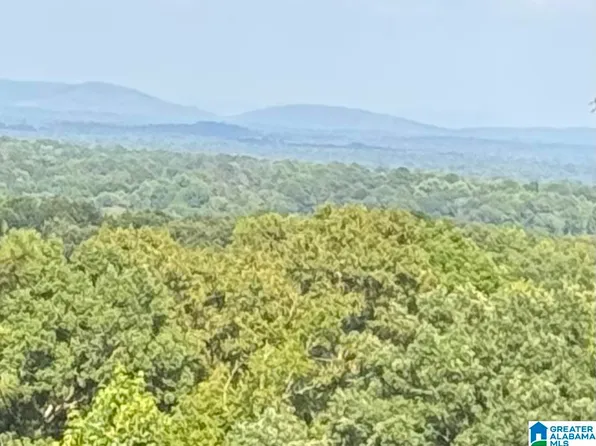 345 County Road 467, Vincent, AL 35178