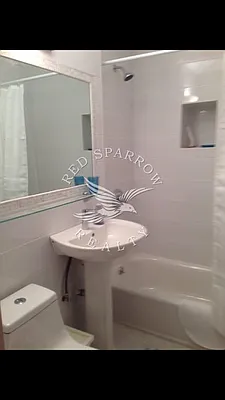 Rented by Red Sparrow Realty Group | media 16