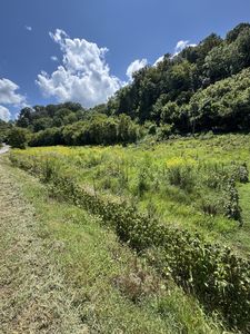 0 Sloan Branch Rd, Pleasant Shade, TN, 37145