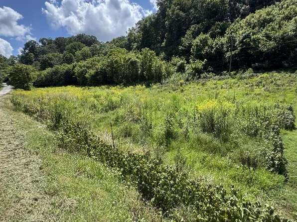 0 Sloan Branch Rd, Pleasant Shade, TN 37145