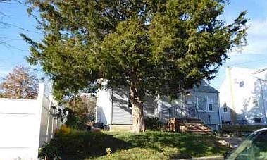 4th image of 13-15 Mount Prospect Ave