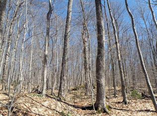 0 Ward Brook Rd, Moretown, VT 05660