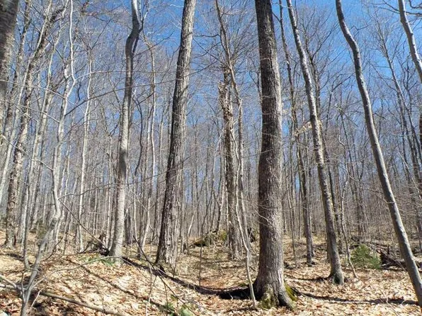 0 Ward Brook Road, Moretown, VT 05660