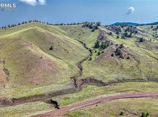 LOT 4134 Wicaka Trl, Hartsel, CO 80449