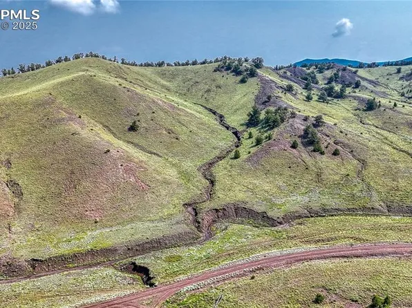 LOT 4134 Wicaka Trl, Hartsel, CO 80449