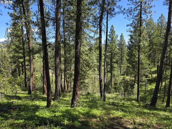 (undisclosed Address), Baker City, OR 97814