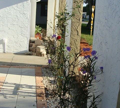 Front patio4