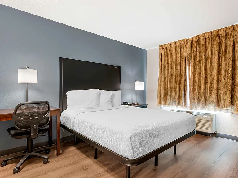 Studio Suite - 1 Queen Bed