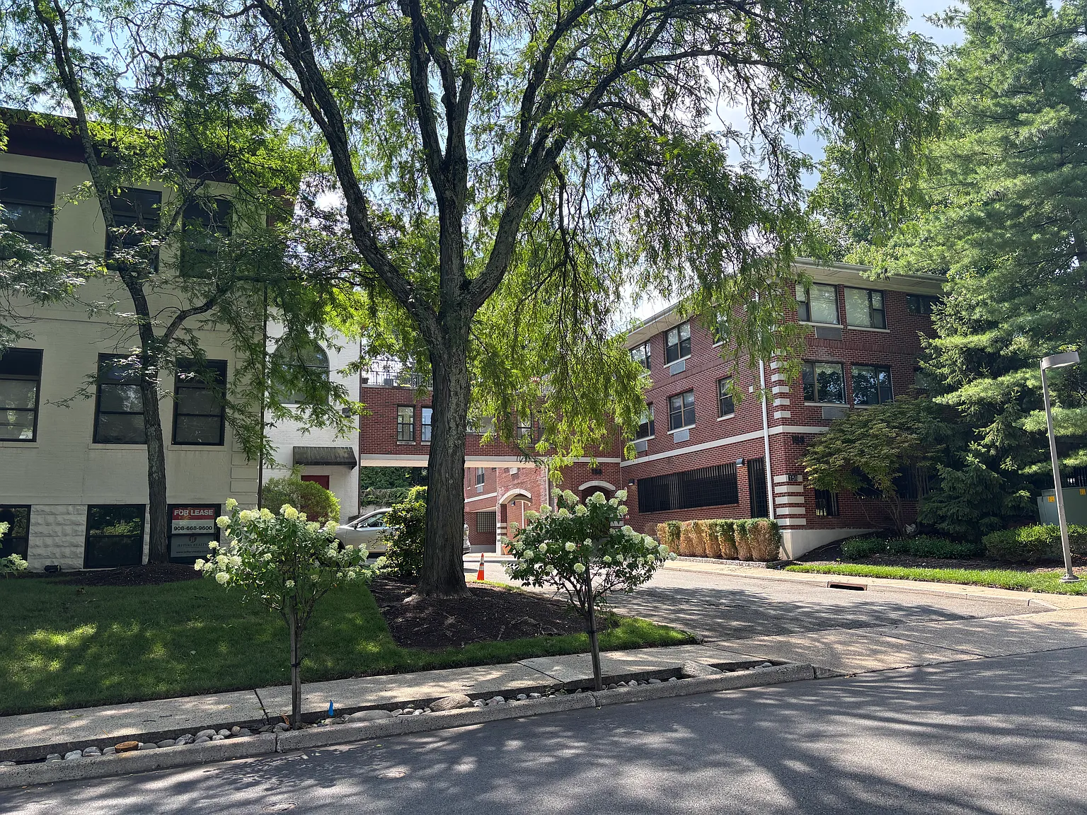 2 bed, $2,895 — Photo 4