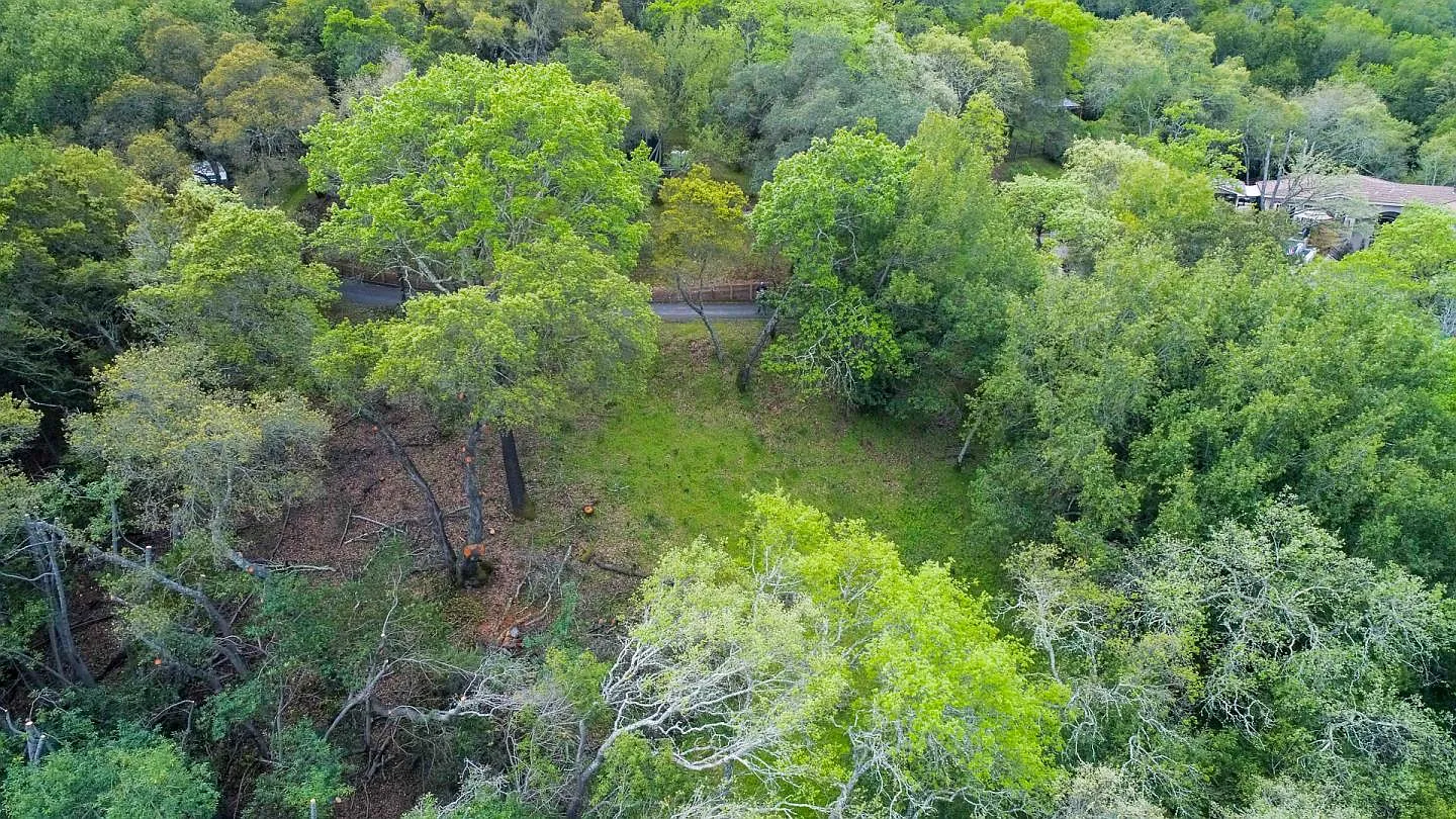 21292 Bertram Rd photo 1