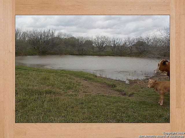 1st image of 117880 Ih 37