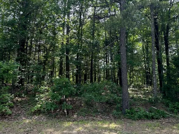 LOT 61 Cedar Valley Rd, Fairfield Bay, AR 72088