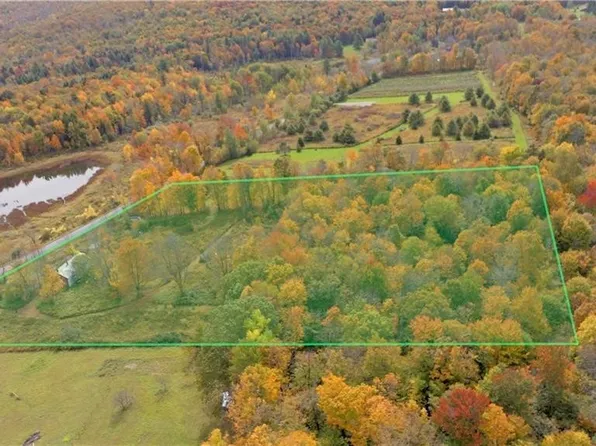 249 Peraglie Rd #12, Jefferson, NY 12093