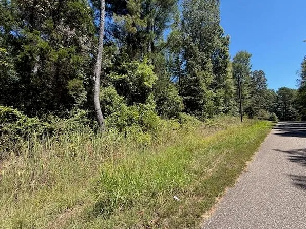 Track 2 Kendrick Gin Rd, Michie, TN 38357