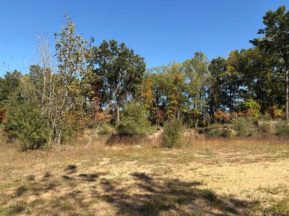 PARCEL E 34th St, Gobles, MI 49055