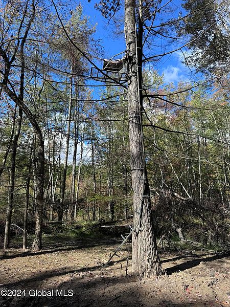 2nd image of 271 Methodist Farm Road