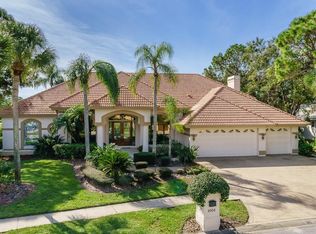 4904 Turtle Creek Trl, Oldsmar, FL 34677