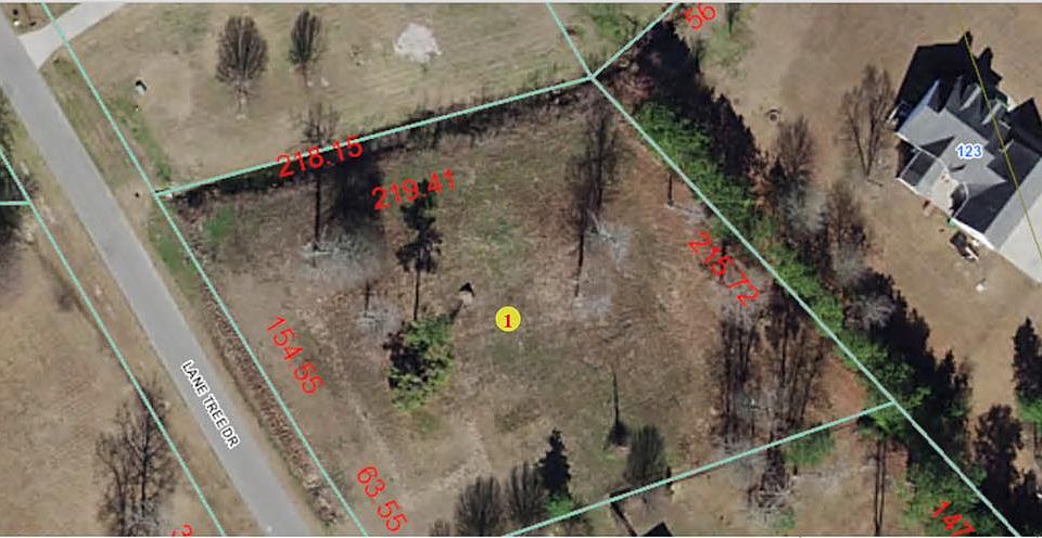 2nd image of 401 Lane Tree Dr