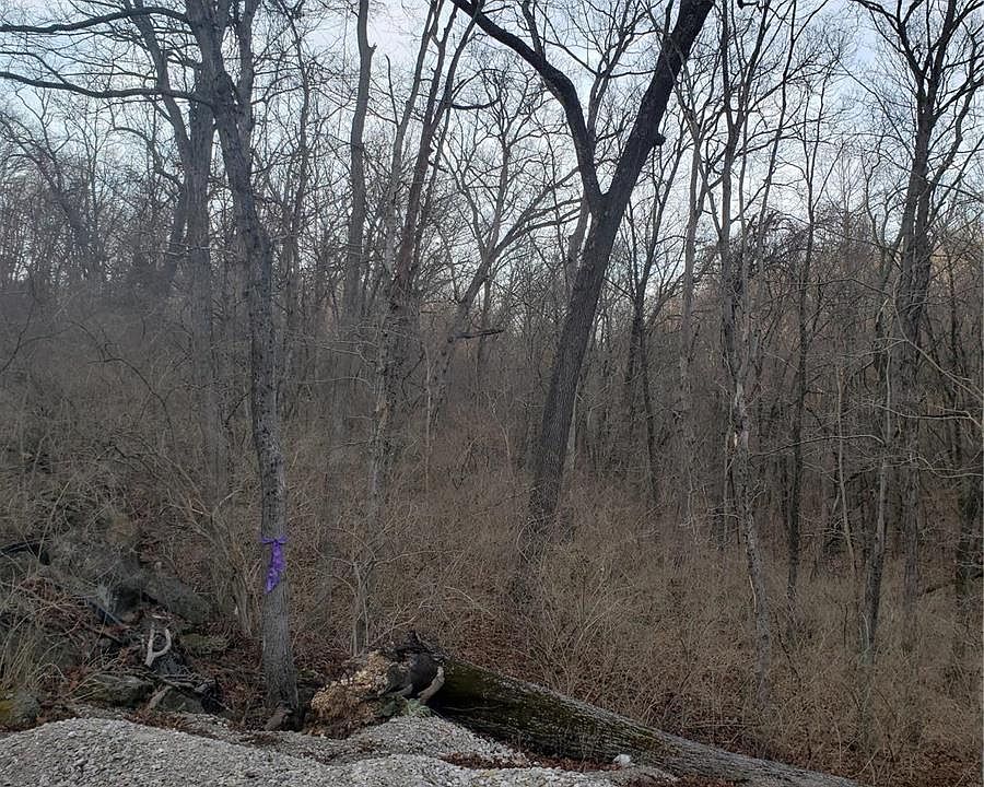 2nd image of 0 E Swaller Rd