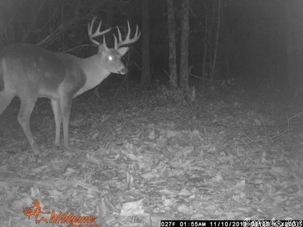 (undisclosed Address), Mountain View, AR 72560