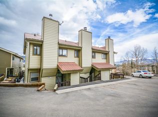 6960 Ryan Gulch Road ##6960, Wildernest, CO 80498