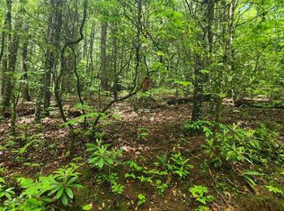 0 Hannah Mountain Rd, Otto, NC 28763