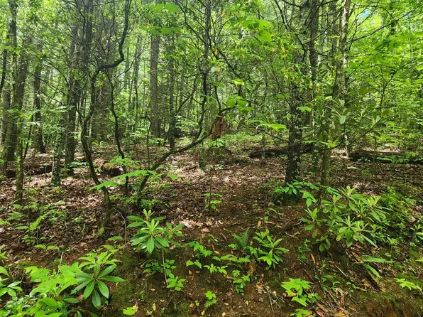 0 Hannah Mountain Rd, Otto, NC 28763