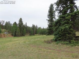 25 Falcon Cir, Florissant, CO 80816