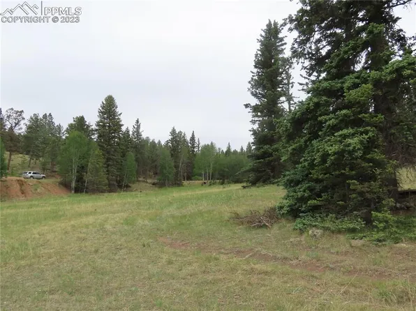 25 Falcon Cir, Florissant, CO 80816