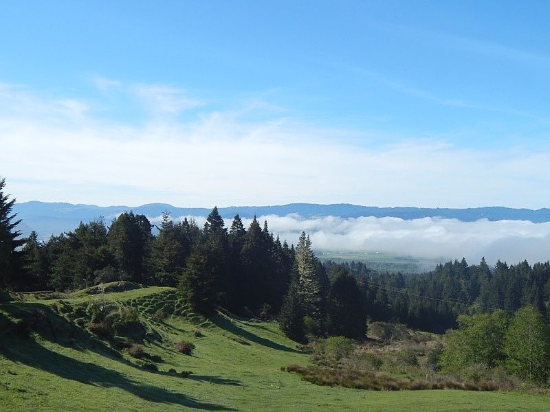 View from deck 