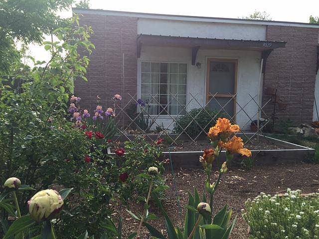 Front yard with flower and veggie garden