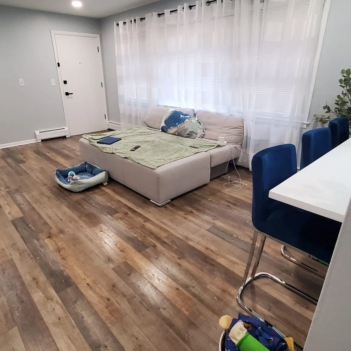 1 bed, $1,600 — Photo 3