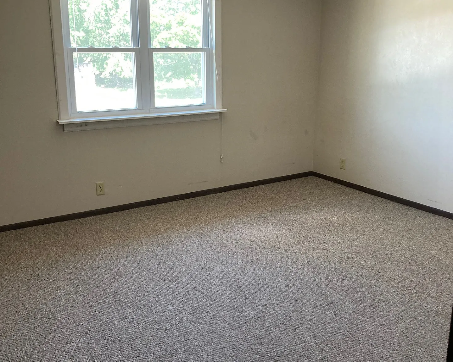 2 bed, $700 — Photo 4