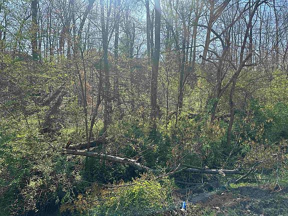 2nd image of 2 Crump Landing Rd