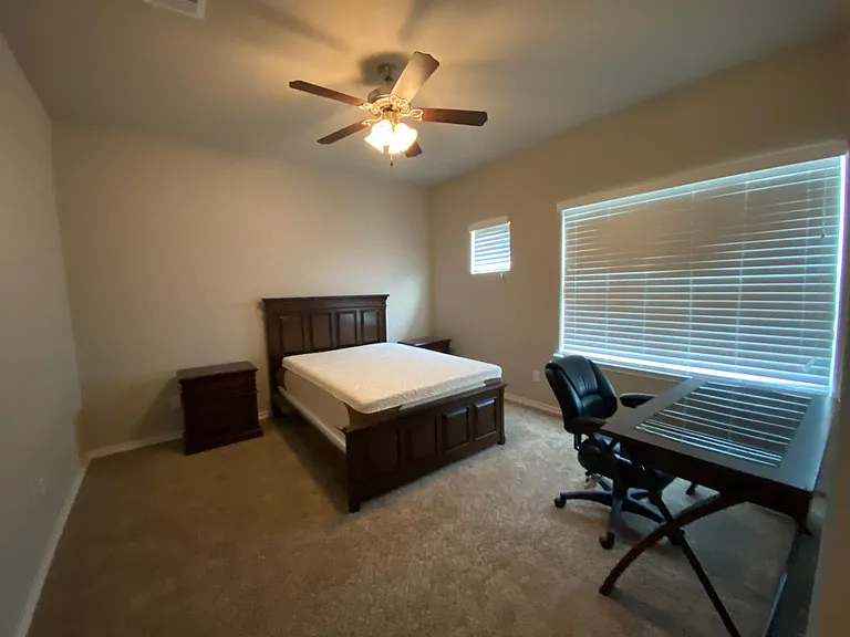 2905 Papa Bear Dr — Photo 16