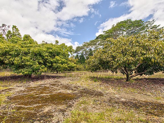 2nd image of Kiele St Lot 30