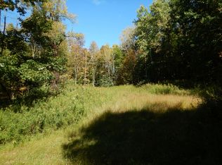 384 Phillips Rd, Windsor, NY 13865