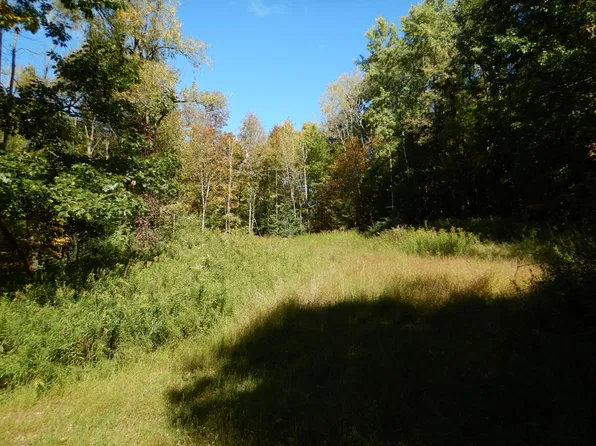 384 Phillips Rd, Windsor, NY 13865
