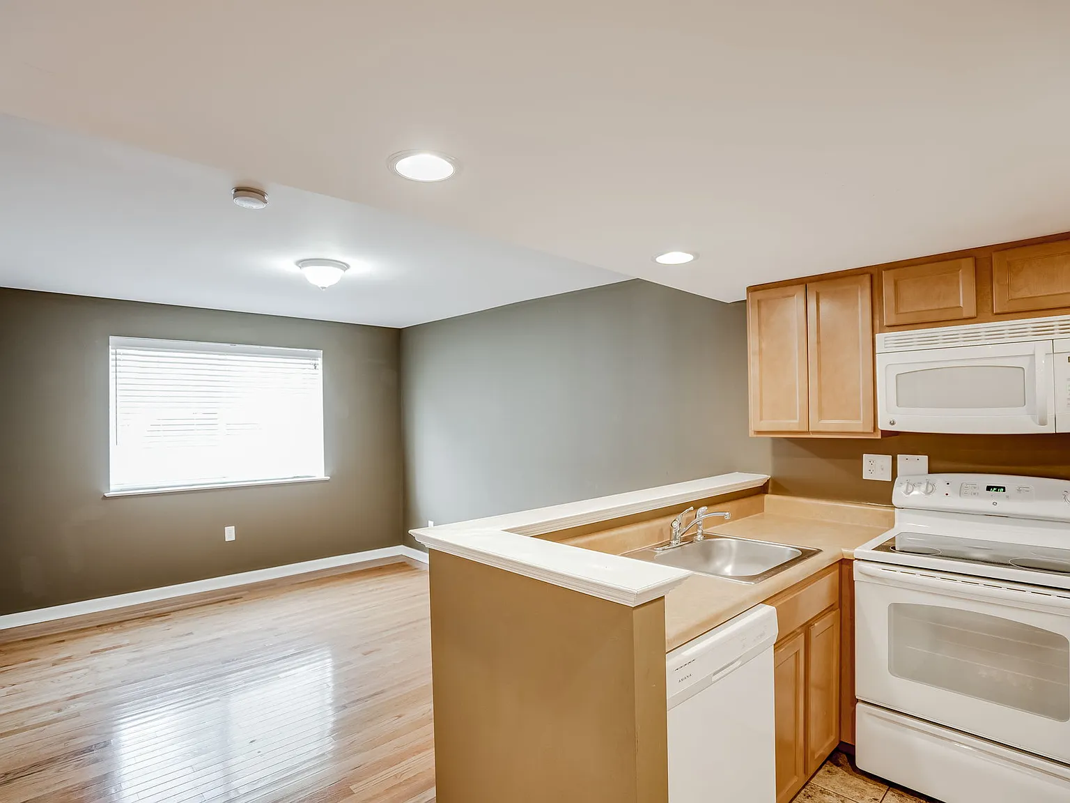 1 bed, 700 sqft, $1,050 — Photo 3