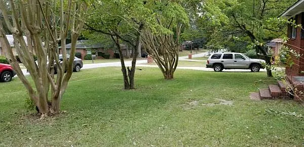 front yard