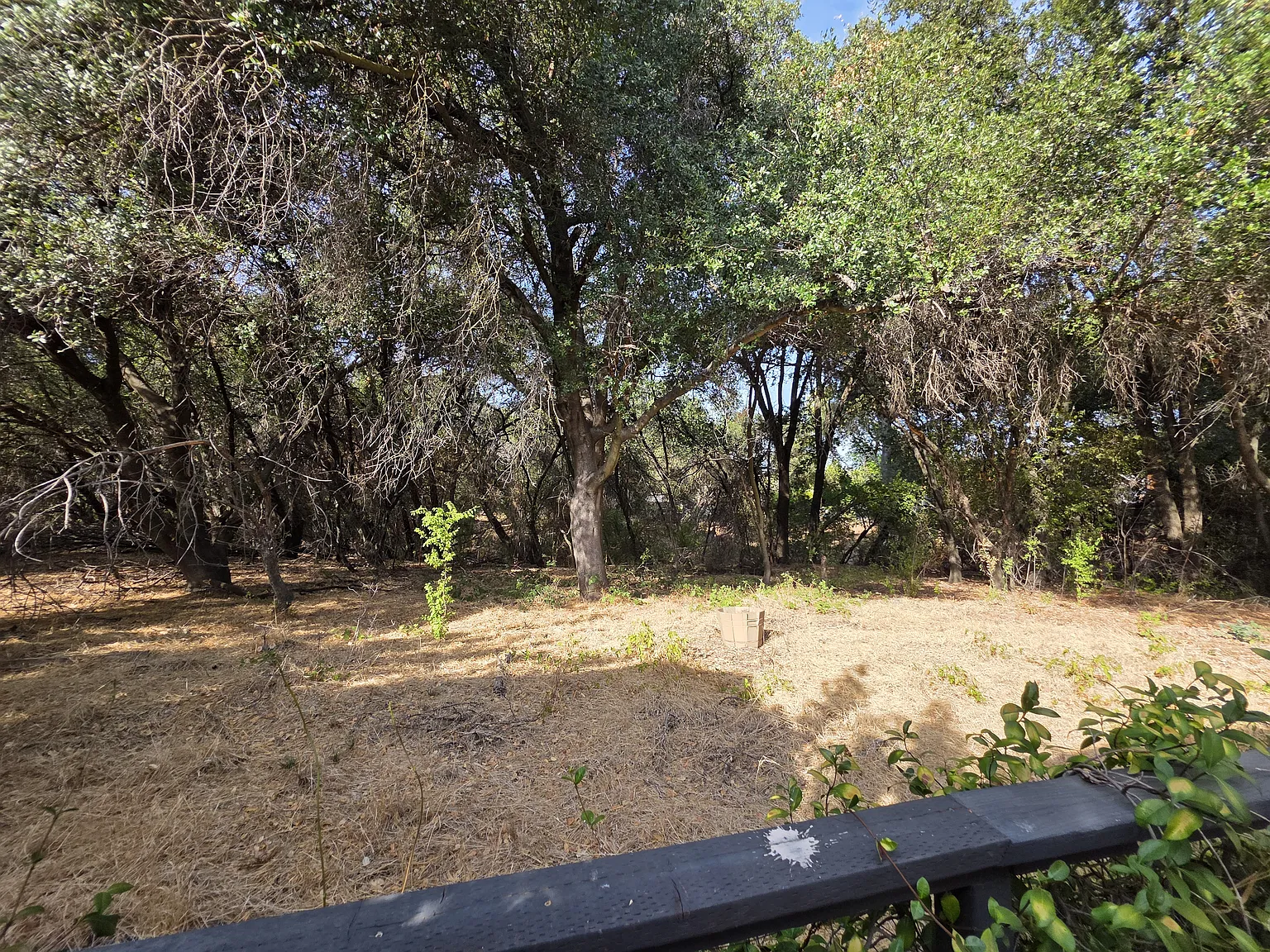 4 bed, 2.5 bath, 1673 sqft, $1,000 — Photo 3