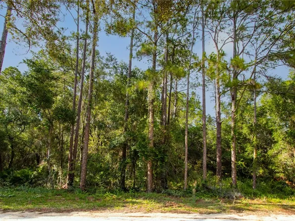 7176 Norway St, Webster, FL 33597